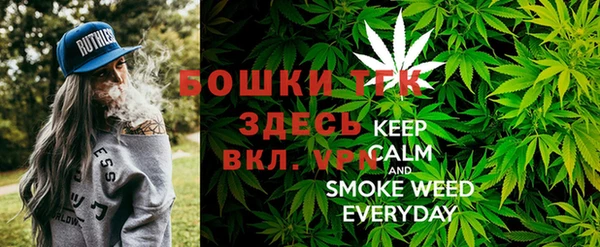мдпв Верея