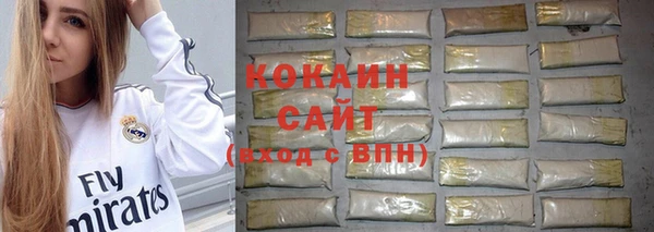 мдпв Верея