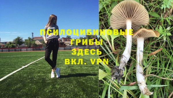 стафф Верхнеуральск