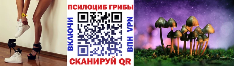 ОМГ ОМГ ссылки  Муром  Псилоцибиновые грибы Cubensis 